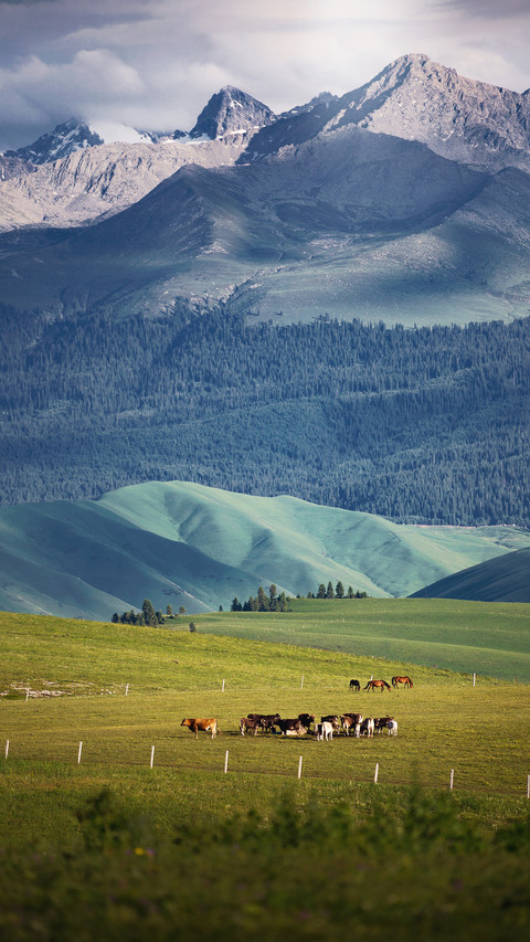 The peak of central asia in the tianshan mountains preview