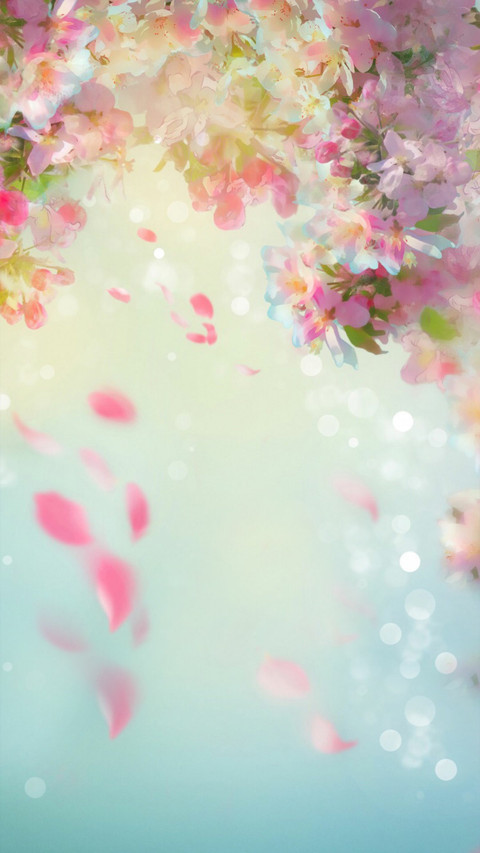 倾心 preview