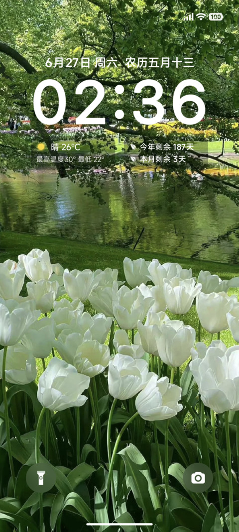 清新简约白郁 preview