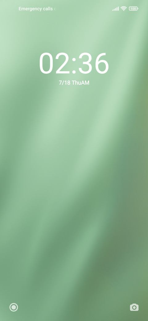 Green Curtains preview