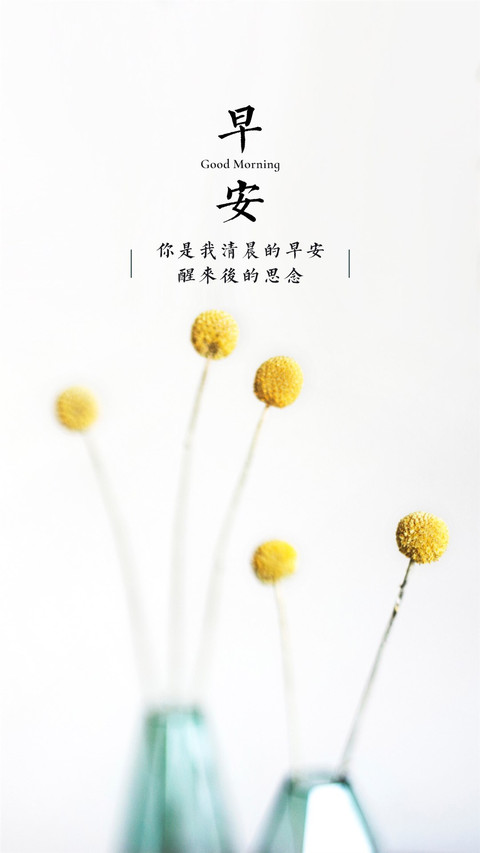 早安 preview