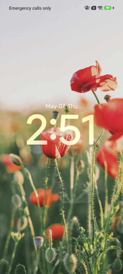 Red Poppies preview