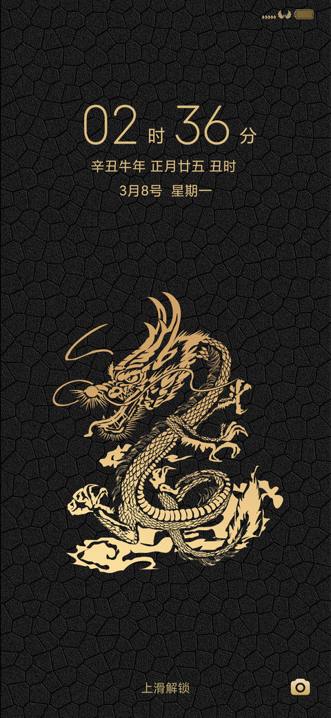 轻奢龙纹 preview