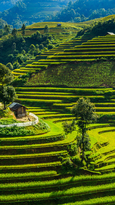 Terraces in Yunnan preview