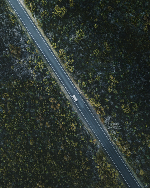 Editor's Pick preview