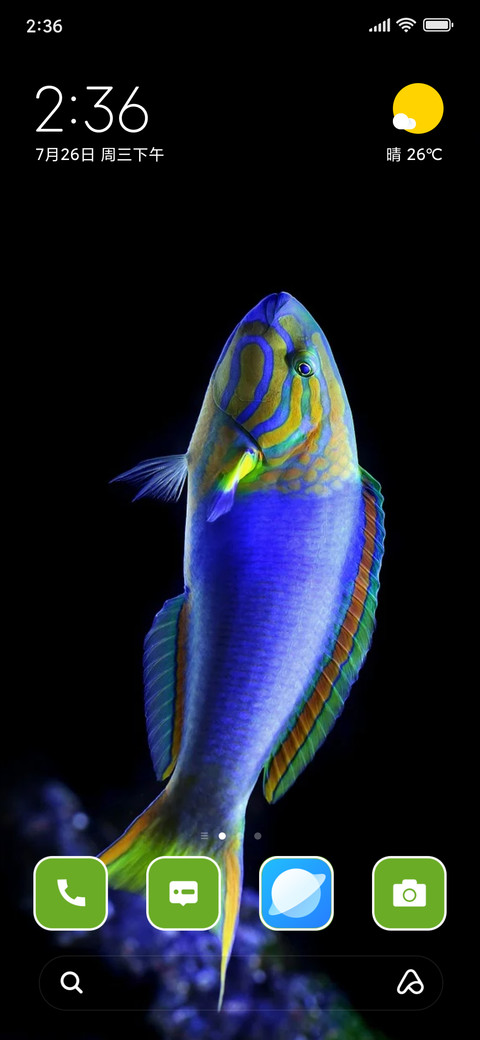 Fish preview