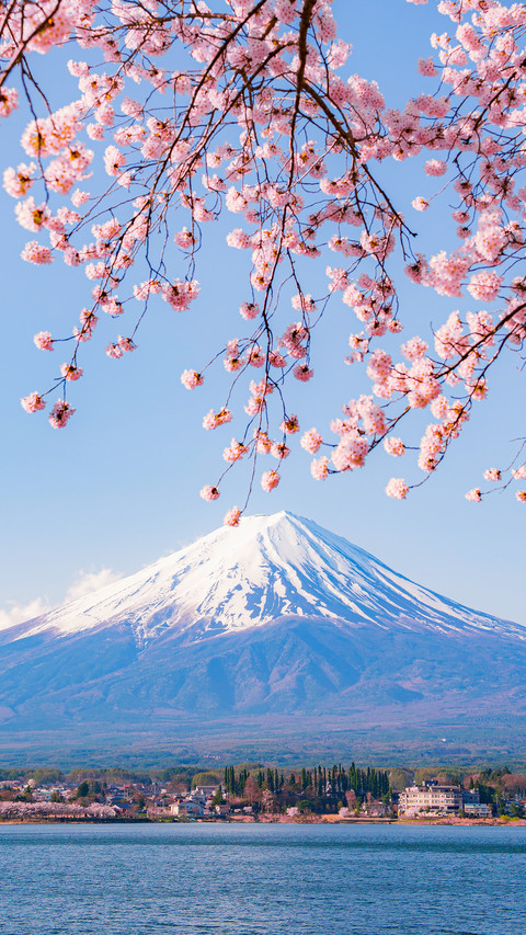 Who can own mount fuji by love preview