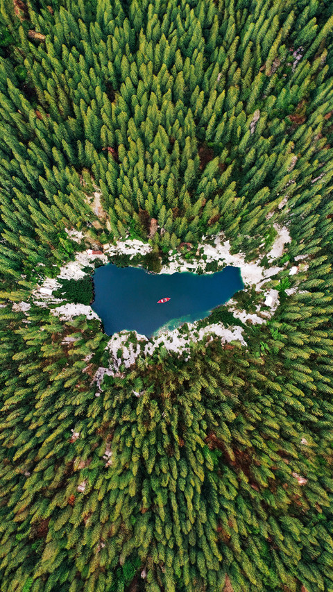 A bird seye view of the trees by the lake preview