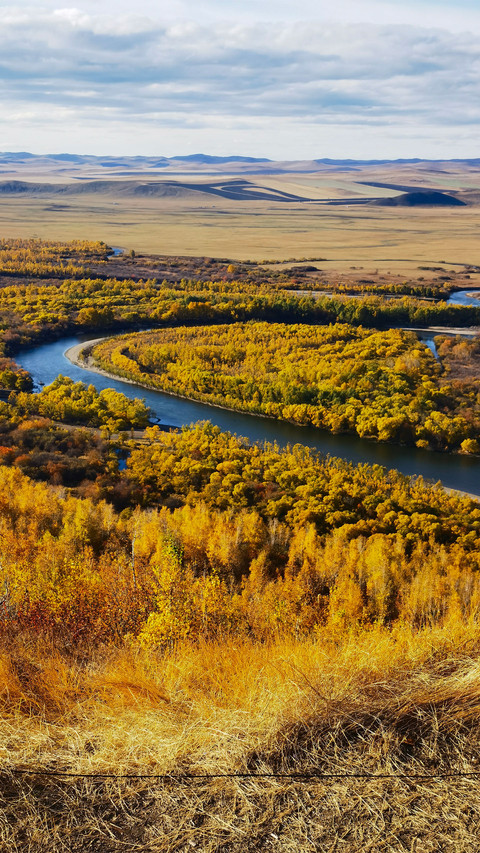 Golden autumn in hulun buir preview