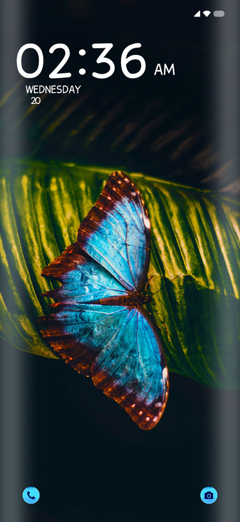 Butterfly preview