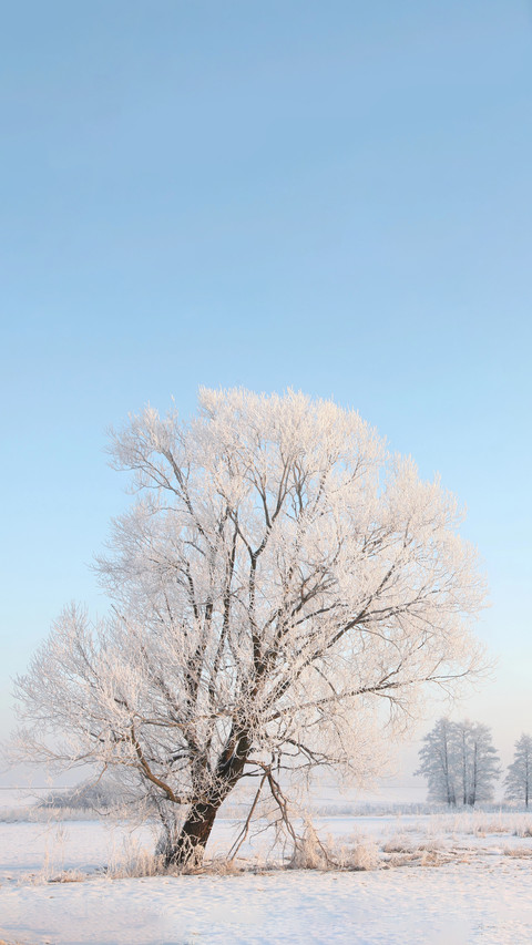 Winter beauty preview