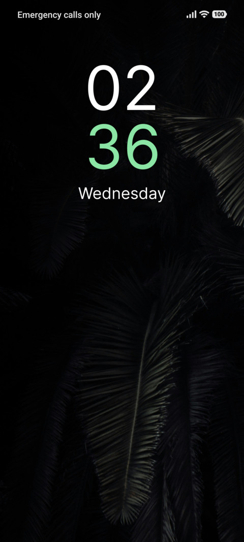 Night Palmtree preview