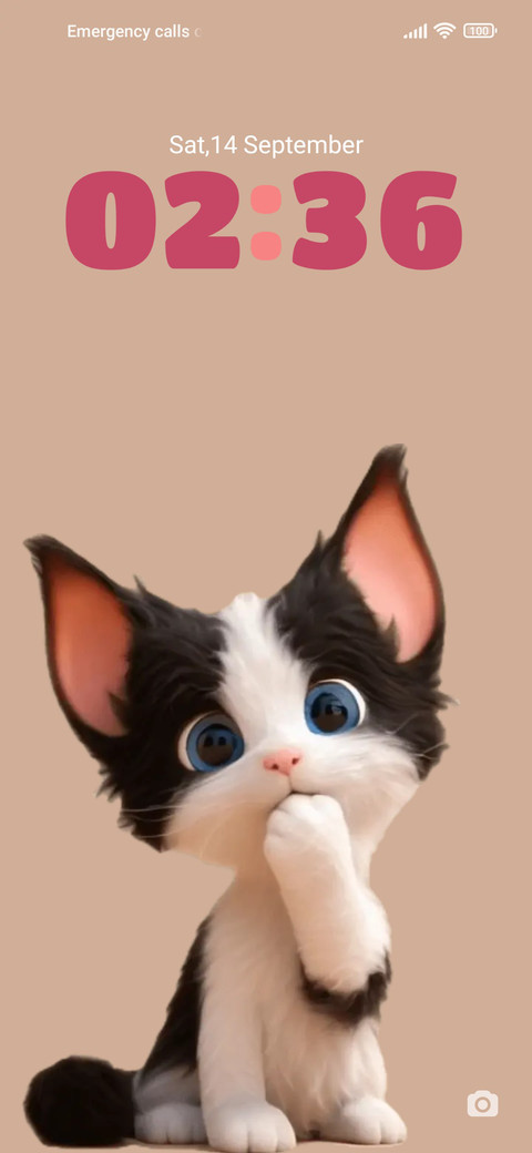 Devon cat preview