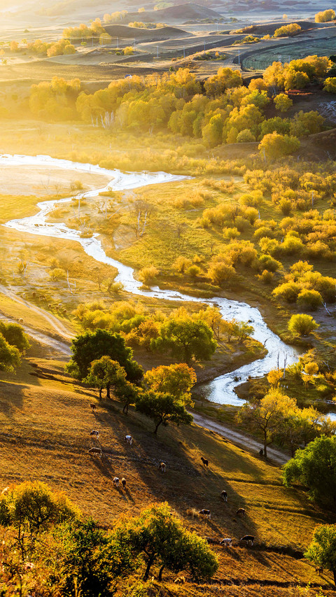 Autumn comes to the bashang area preview
