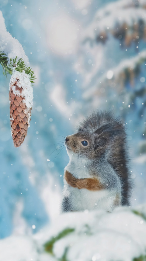 Cold and winter solstice preview
