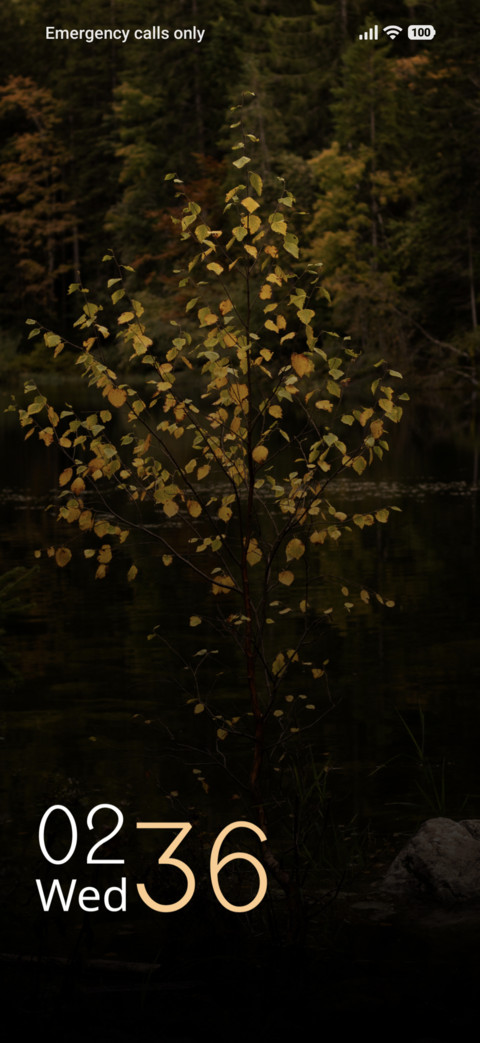 Verdant Mis preview