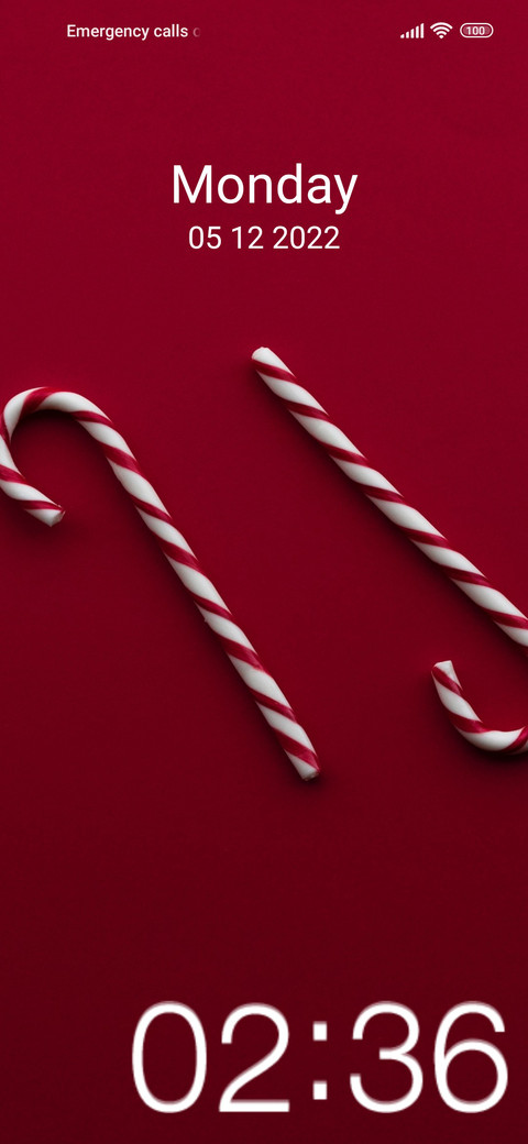 Christmas fresh preview