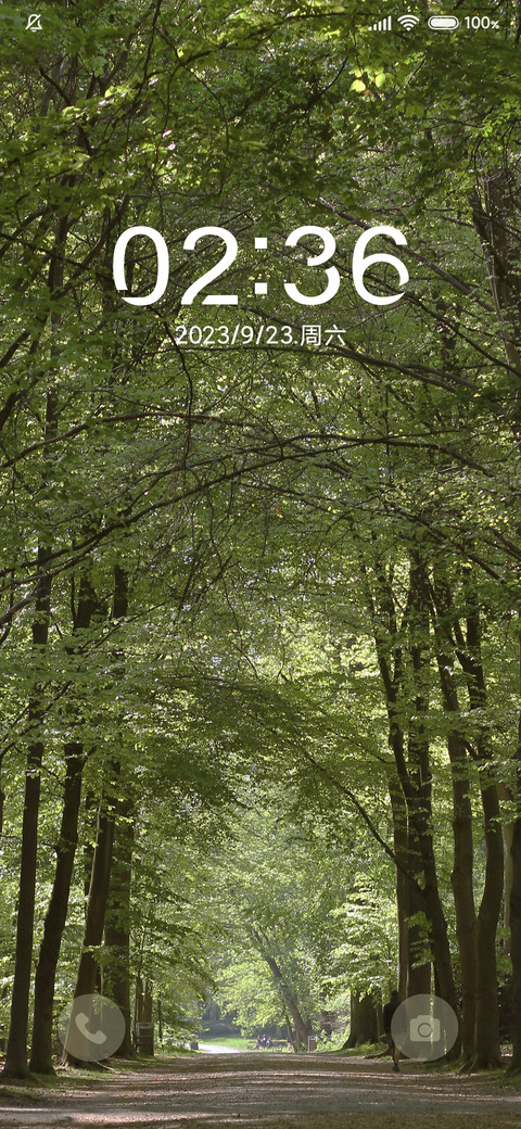 树先生护眼治愈 preview