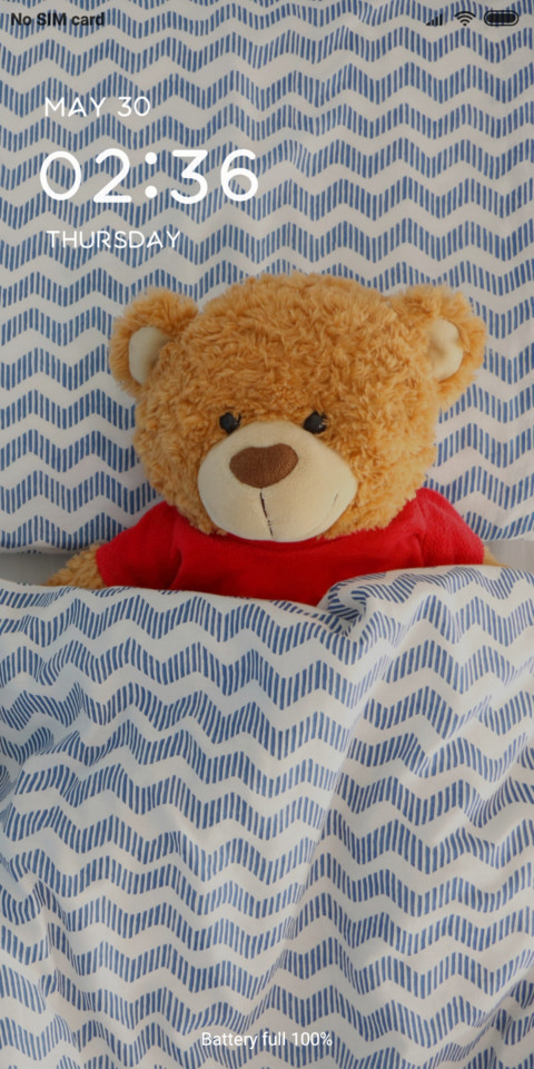 TEDDY_DWM19 preview
