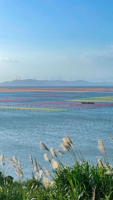 Colorful coastline preview