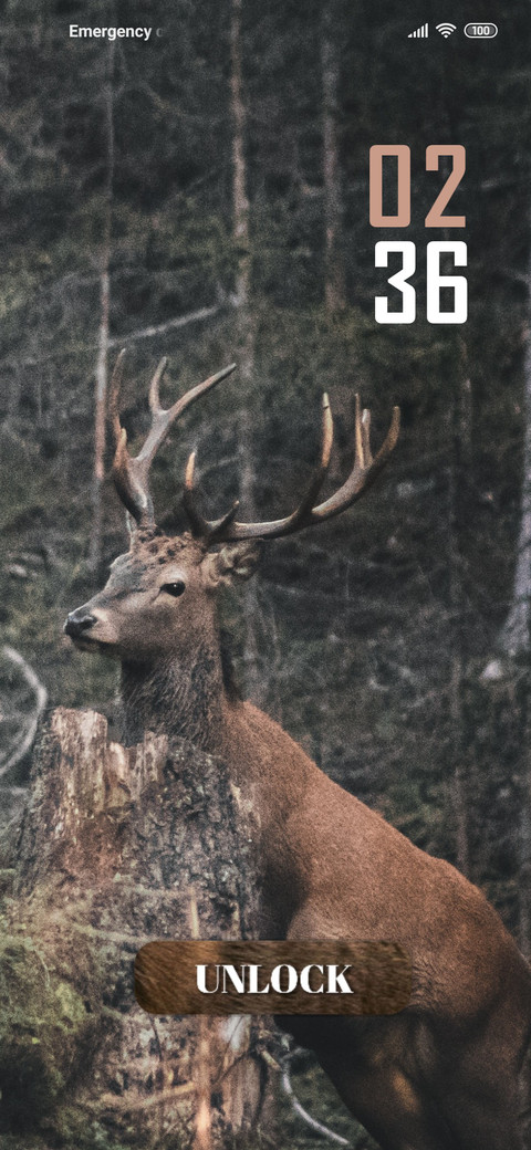 Deer Feel preview