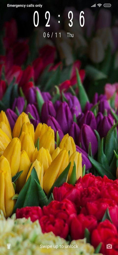 Tulip Bouquet_3MDP preview