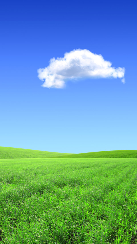 Green grass and blue sky preview