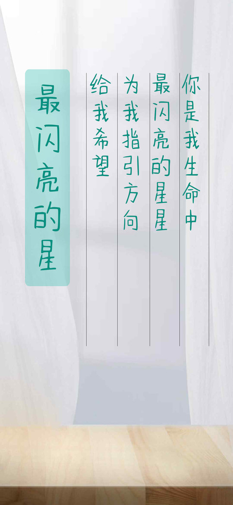 最闪亮的星 preview
