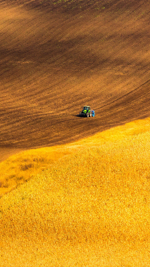 Autumn landscapes in South Moravia preview