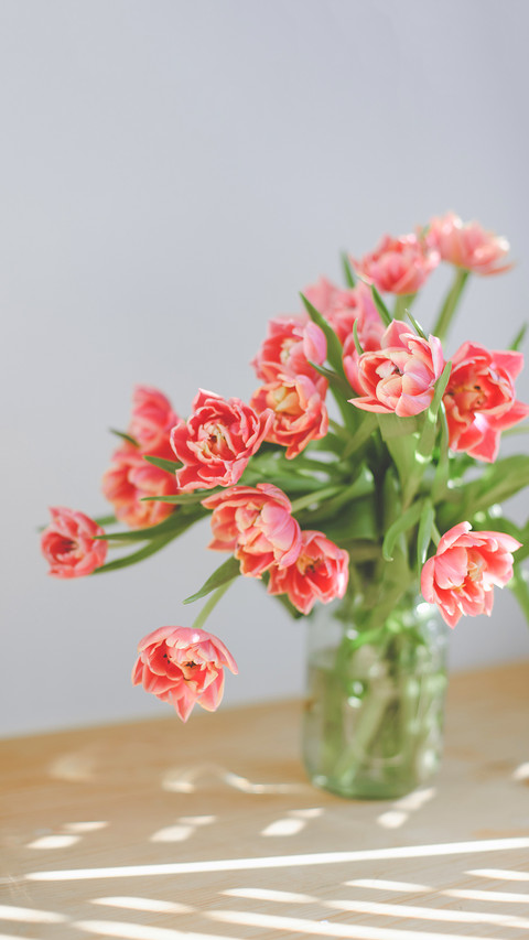 Pink peony tulips in a glass jar are standing preview