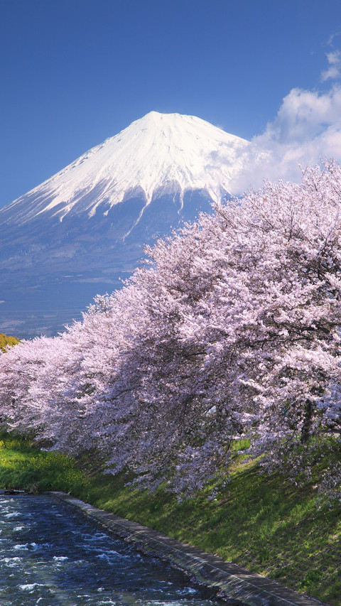 Chinese Travelers in Japanese Eyes 6 preview