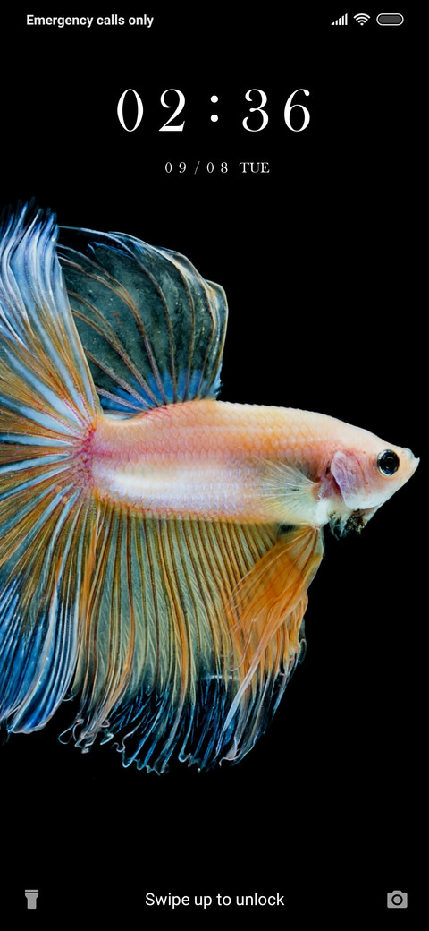 Fish_3MDS preview