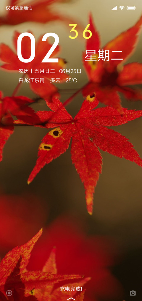 枫林晚 preview