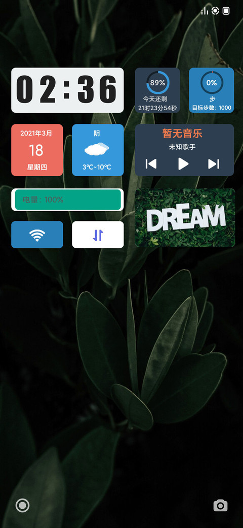 Widget preview