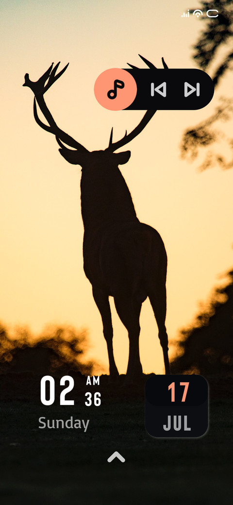 Deer Night preview