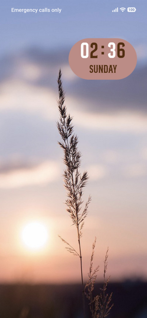 Sunset preview