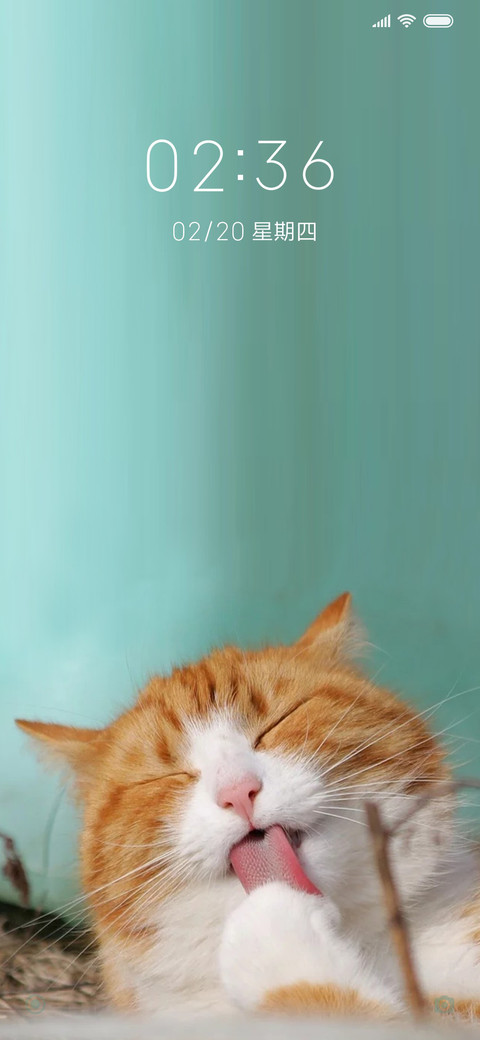 我是一橘猫 preview