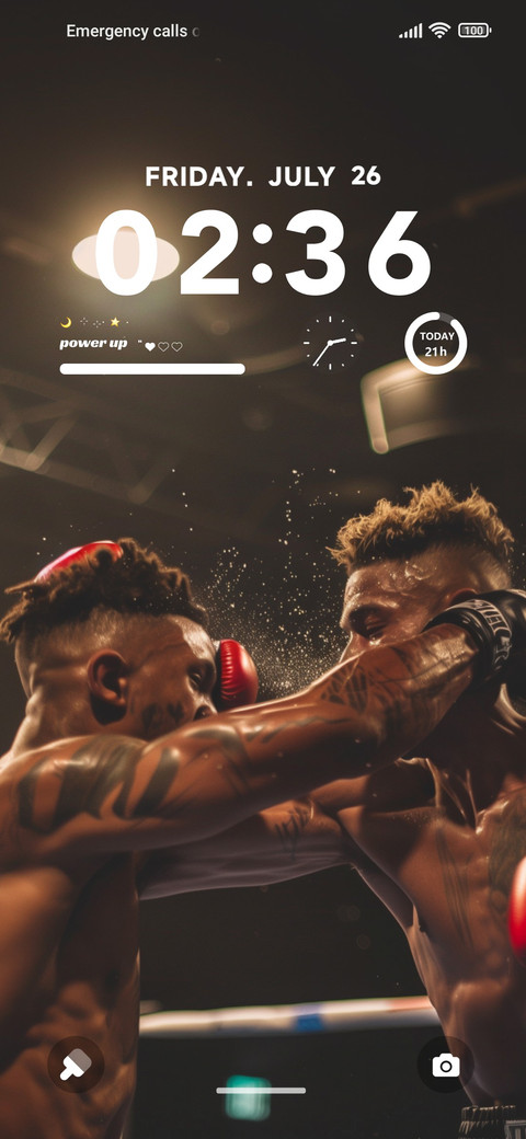 punch preview