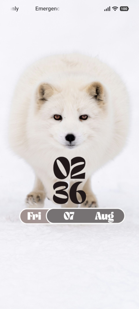 Arctic Fox preview