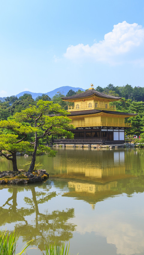 Golden Temple Amidst Nature, A Gateway to Inner Peace preview