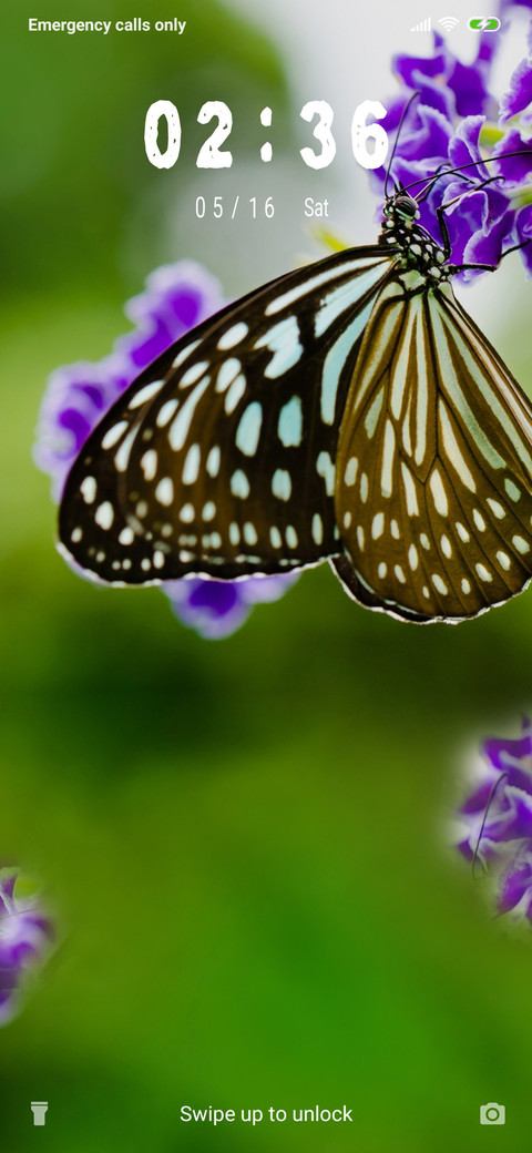 Beautiful butterfly_3MDS preview