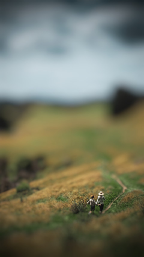 Grassy Valley Path_V1 preview