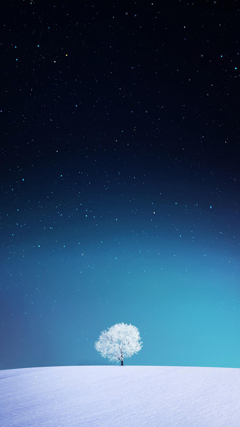 VCG211127562920 preview