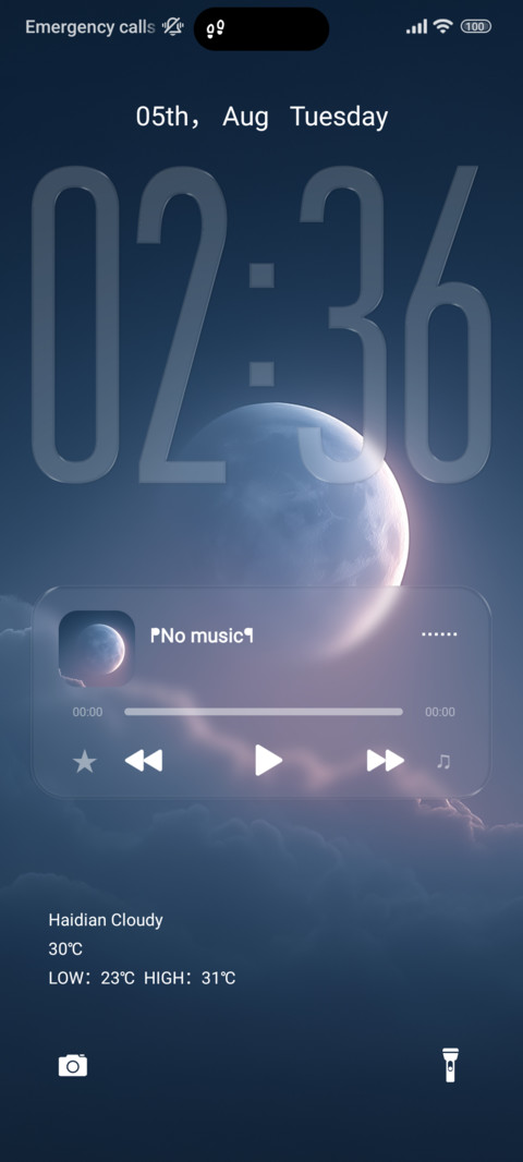 night moonlight preview