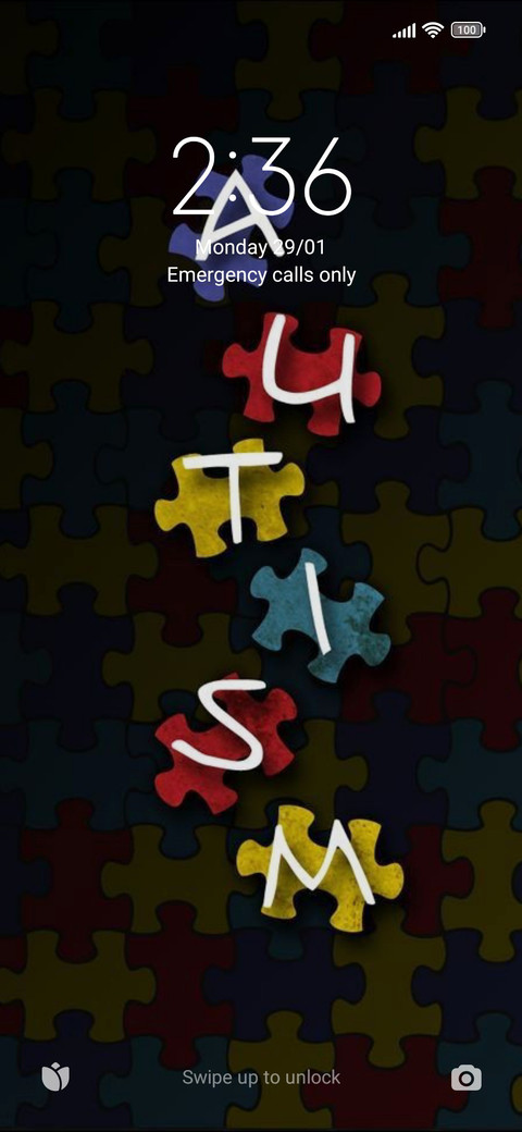 Autiscv27 preview