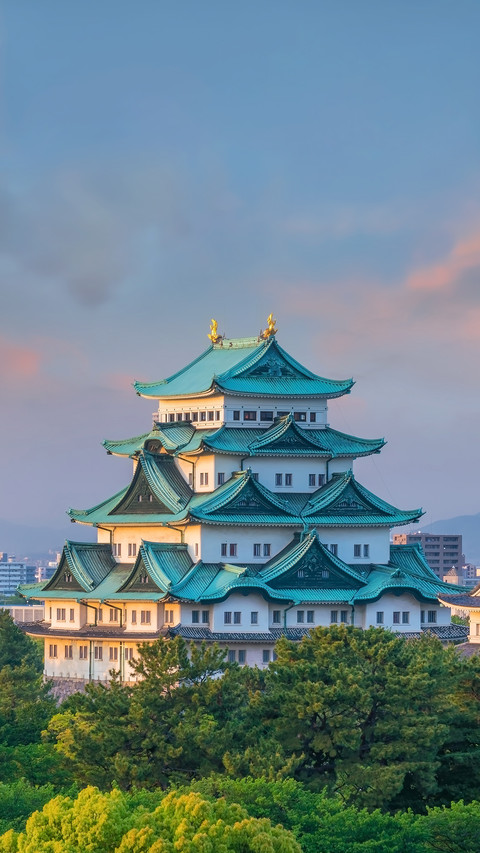 Nagoya Castle and City Skyline in Japan at Beautiful Sunset preview