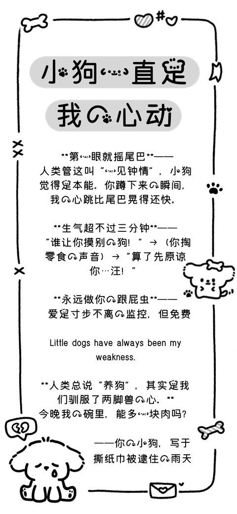 小狗一直是我的心动 preview