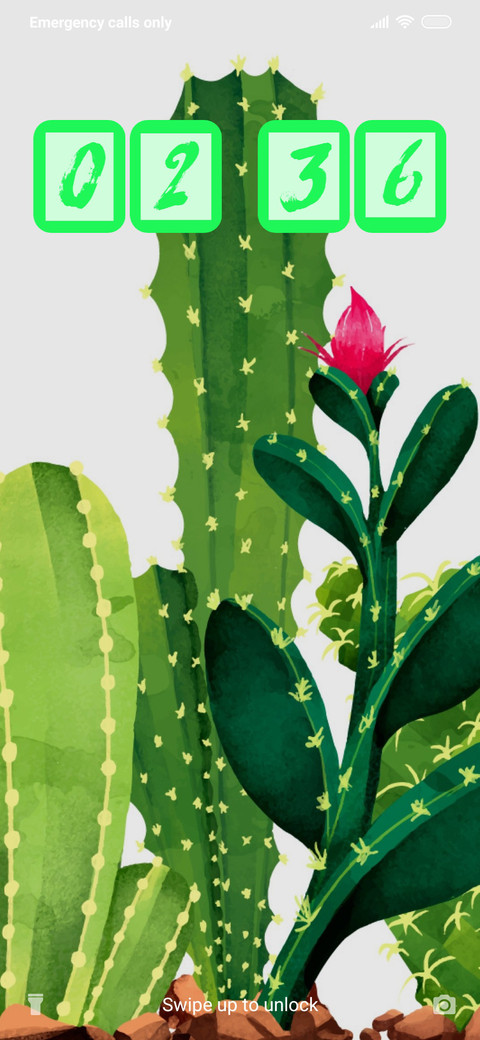 Cactus Close-up_3MDS preview
