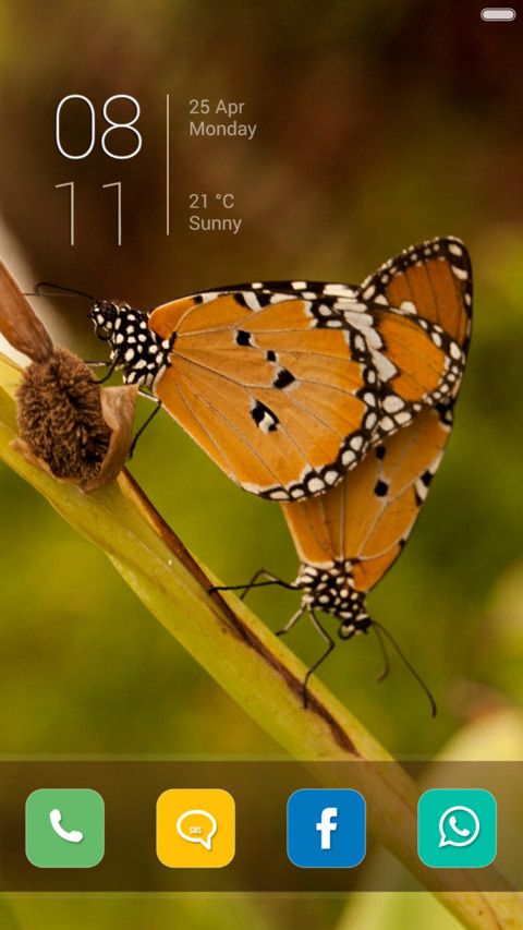  IN Butterflies preview