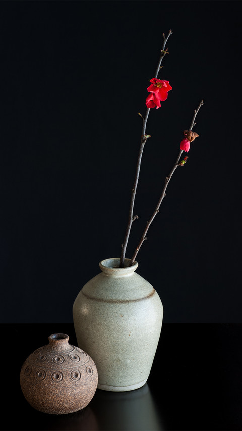 Inserting Flowers into Bottles and Living in the Wild 0 preview